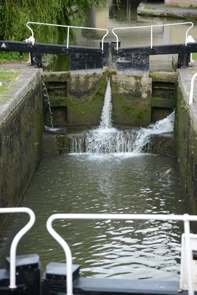 DSC_2701 (Large).JPG